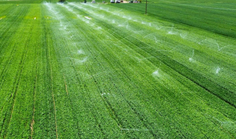 Sistema de gestão agrícola para controle de custos e safra no celular: Otimize sua fazenda com dados em tempo real